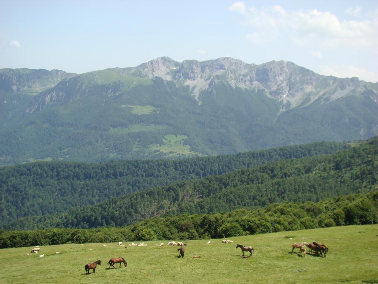 Komovi Eko Katun Vila Andrijevica Exterior foto