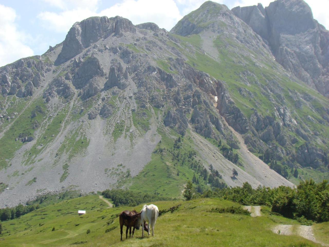 Komovi Eko Katun Vila Andrijevica Exterior foto